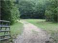 96 Acres &nbsp; Crosby, Wilkinson County, Mississippi  $299,500