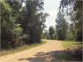 Land in McCall Creek, Franklin County, Mississippi,   $25,925