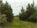 Land Commercial in Brookhaven, Lincoln County, Mississippi,   $110,200
