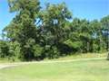 .6 Acres &nbsp; McComb, Pike County, Mississippi  $20,900