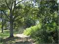 25 Acres &nbsp; Summit, Pike County, Mississippi  $105,000