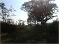 498 Acres &nbsp; Kokomo, Marion County, Mississippi  $814,230