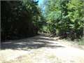Land in McCall Creek, Franklin County, Mississippi,   $34,839