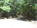 7.67 Acres &nbsp; McCall Creek, Franklin County, Mississippi  $30,296