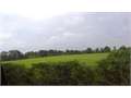 31.5 Acres &nbsp; Tylertown, Walthall County, Mississippi  $126,000