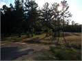 7 Acres &nbsp; Columbia, Marion County, Mississippi  $56,000