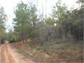 5 Acres &nbsp; Sumrall, Lamar County, Mississippi  $22,500