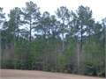 3.1 Acres &nbsp; Tylertown, Walthall County, Mississippi  $10,900