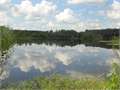 65.6 Acres &nbsp; Tylertown, Walthall County, Mississippi  $300,650