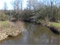 43 Acres &nbsp; Tylertown, Walthall County, Mississippi  $120,400