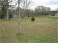 .84 Acres &nbsp; Summit, Pike County, Mississippi  $12,000