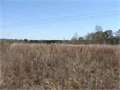Land in Liberty, Amite County, Mississippi,   $677,841