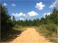 82.2 Acres &nbsp; Centreville, Amite County, Mississippi  $203,445