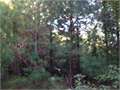 40 Acres &nbsp; Crosby, Amite County, Mississippi  $105,000