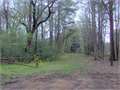 3.35 Acres &nbsp; Summit, Pike County, Mississippi  $39,500