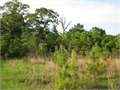 4.05 Acres &nbsp; McComb, Pike County, Mississippi  $18,500
