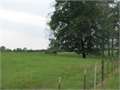 70 Acres &nbsp; Franklinton, Washington Parish, Louisiana  $227,500