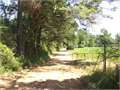 23.7 Acres &nbsp; Tylertown, Walthall County, Mississippi  $82,950
