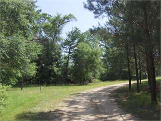 Tylertown, Walthall County, Mississippi Land For Sale - 3.19 Acres