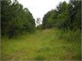 13 Acres &nbsp; Bush, St. Tammany Parish, Louisiana  $32,500