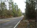 100 Acres &nbsp; Lucedale, Jackson County, Mississippi  $189,375