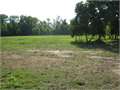 6.19 Acres &nbsp; Mt Herman, Washington Parish, Louisiana  $64,500