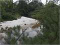 476 Acres &nbsp; Poplarville, Pearl River County, Mississippi  $1,166,200