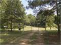 750 Acres &nbsp; Natchez, Adams County, Mississippi  $3,950,000