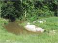 40 Acres &nbsp; Columbia, Marion County, Mississippi  $199,000