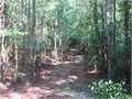 20 Acres &nbsp; McCall Creek, Franklin County, Mississippi  $69,500