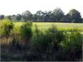35 Acres &nbsp; Kokomo, Marion County, Mississippi  $96,250