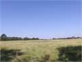 73 Acres &nbsp; Magnolia, Pike County, Mississippi  $255,500
