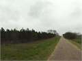 19.06 Acres &nbsp; Tylertown, Walthall County, Mississippi  $73,381