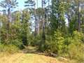 108 Acres &nbsp; Columbia, Marion County, Mississippi  $216,000