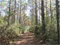 40.79 Acres &nbsp; Magnolia, Pike County, Mississippi  $119,500