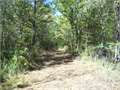 98.14 Acres &nbsp; Sandy Hook, Walthall County, Mississippi  $294,000