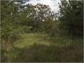 15 Acres &nbsp; Mendenhall, Simpson County, Mississippi  $39,500