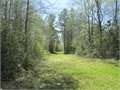 117 Acres &nbsp; McComb, Pike County, Mississippi  $321,750