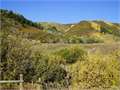 3629 Acres &nbsp; Meeker, Garfield County, Colorado  $15,000,000