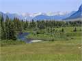 515 Acres &nbsp; Gunnison, Gunnison County, Colorado  $5,750,000