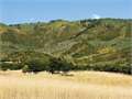 1180 Acres &nbsp; Steamboat Springs, Routt County, Colorado  $23,950,000
