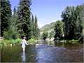 35 Acres &nbsp; Steamboat Springs, Routt County, Colorado  $1,295,000