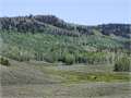 2300 Acres &nbsp; Steamboat Springs, Routt County, Colorado  $6,325,000