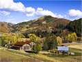 490 Acres &nbsp; Steamboat Springs, Routt County, Colorado  $12,950,000