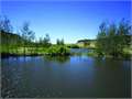 560 Acres &nbsp; Gooding, Gooding County, Idaho  $2,500,000