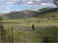 249 Acres &nbsp; Philipsburg, Granite County, Montana  $1,590,000
