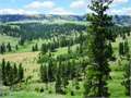 1334 Acres &nbsp; Joliet, Carbon County, Montana  $1,650,000