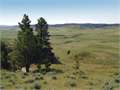 32428 Acres &nbsp; Quietus, Big Horn County, Montana  $25,000,000
