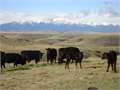 4227 Acres &nbsp; Absarokee, Rosebud County, Montana  $4,150,000