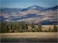 2669 Acres &nbsp; Missoula, Missoula County, Montana  $22,500,000
